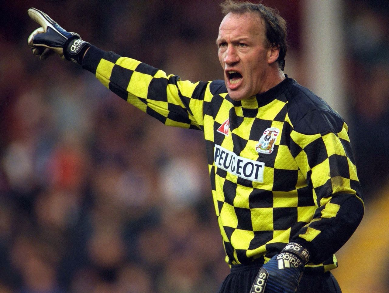 Cult Heroes and Club Icons: The peculiar story of Steve Ogrizovic | theScore.com